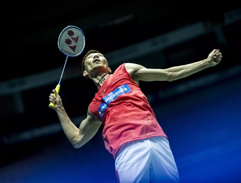 上了各大媒 上了各大媒